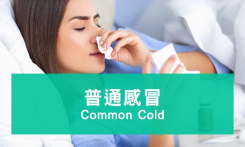 月经期间能吃卤鸡腿吗-月经期间可以吃卤制品网 :分享月经期间可以吃吗-月经期间可以吃卤制品吗女生知识